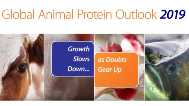 Global Animal Protein Outlook 2019