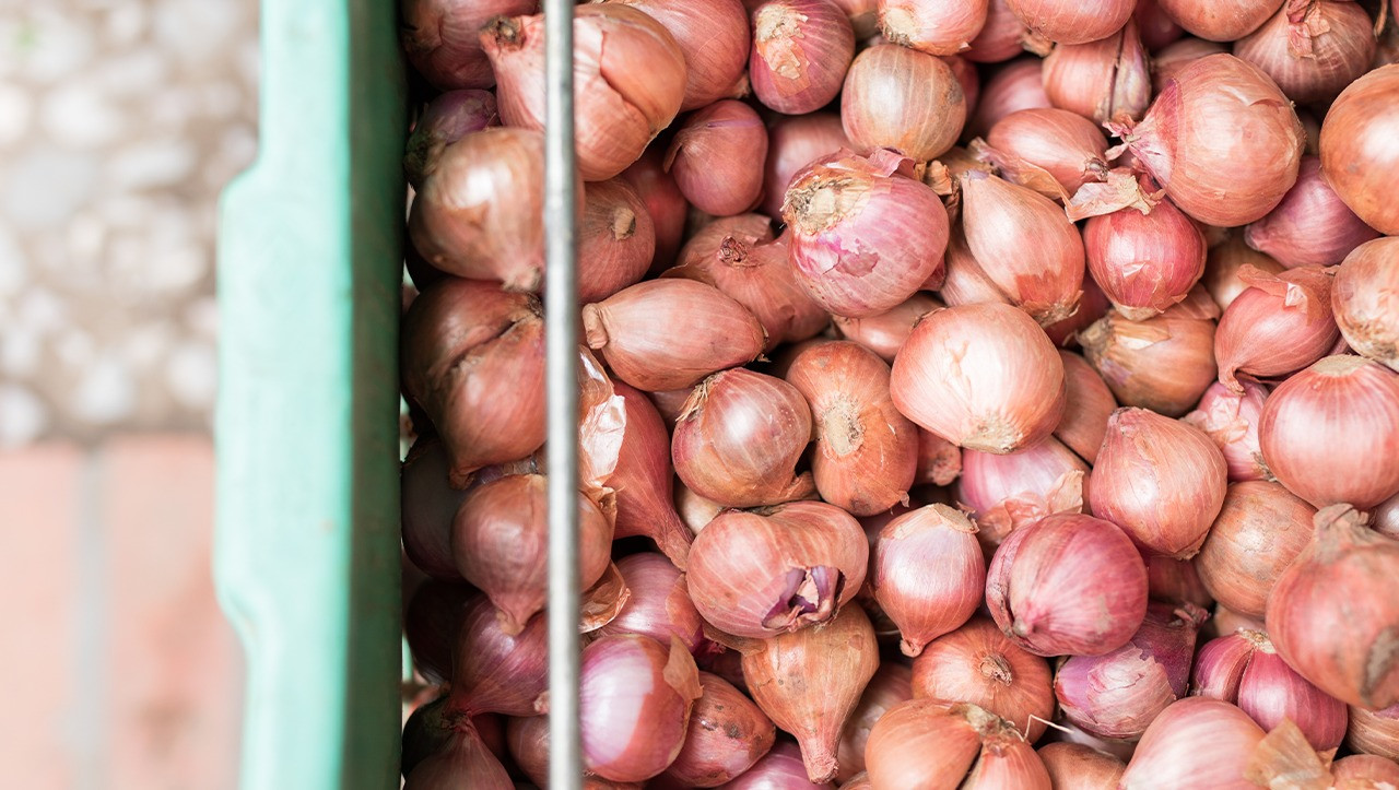 Adding Value To Waste From Onion Processing