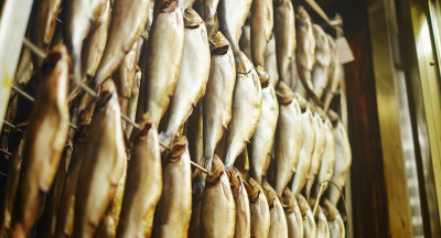 Fish sector expresses concerns about EU control regulation