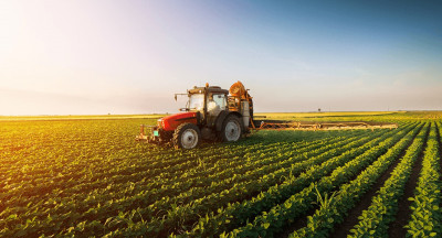 State of Agriculture and Food: Stable trends in sector