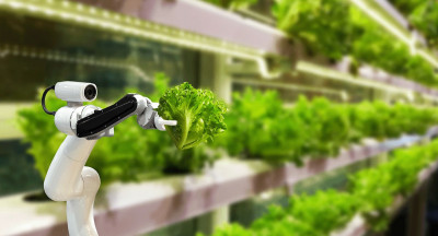 Flexcraft speeds up robotics deployment in food industry