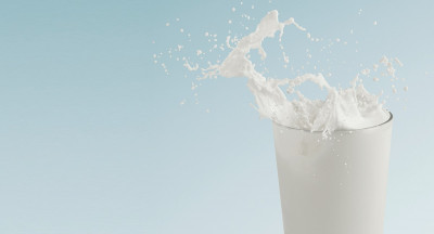 Qlip sets out to guarantee dairy with Dutch origin