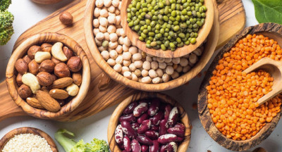 New at HAS: Plant proteins workshop