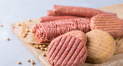 Safe preservation of meat and meat substitutes without nitrite