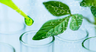 Gezondheidsraad wil integrale visie op biotechnologie