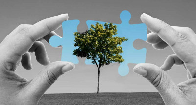 Cabinet launches Industry Sustainability Program