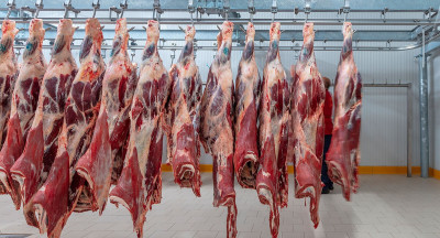 Many violations in slaughterhouses in first half 2022