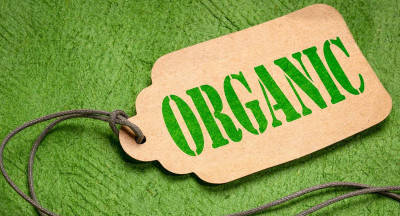 Restrictions on using 'organic' and 'ecological' in company names