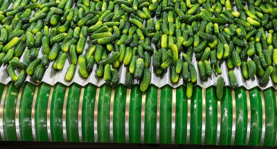 Producer confidence in food industry declines