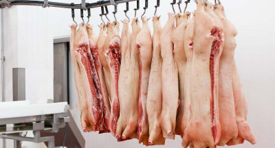 More monitoring and stricter rules slaughterhouses
