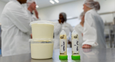 Hybride yoghurt van koemelk en plantaardige zuivel