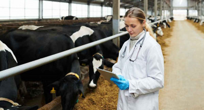 Incorrect cost allocation in meat and livestock inspections