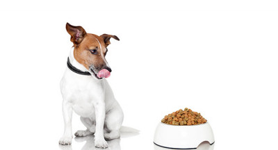 Lab-grown meat not yet for humans, but already for pets