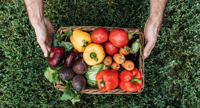 Organic Business Regulation Changes in 2024