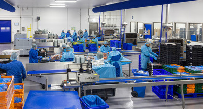 Sea Fresh Retail: More certainty, less disinfectant
