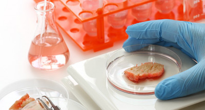 Italy Bans Lab-Grown Meat: Food Industry Impact