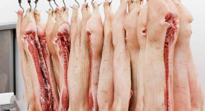 Belgium sees lowest pig slaughter numbers in years