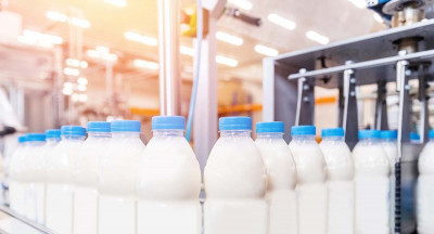 Dairy industry: Balancing growth and challenges
