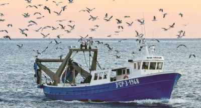 Future vision for Dutch North Sea fisheries