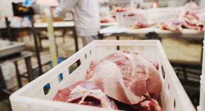 NVWA considers closure of slaughterhouse in Brabant