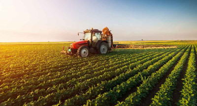Pesticideresiduen veilig in 96,3% van de voedselmonsters