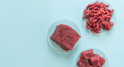 ‘Cultivated meat as an ingredient for plant-based alternatives’