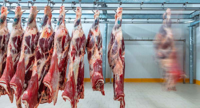 10 years Fraud in the Dutch red meat industry