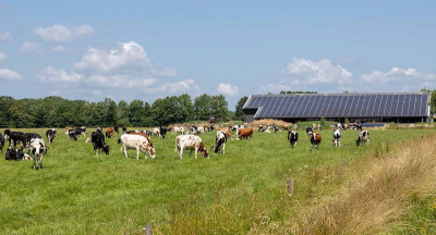 Mars and FrieslandCampina reduce greenhouse gas emissions