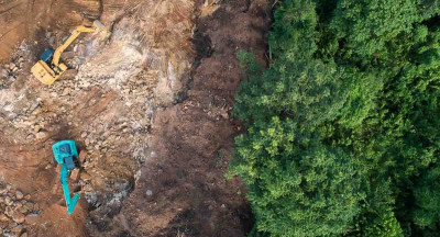 Verordening ontbossingsvrije producten eind 2024 van kracht