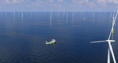 Eerste commerciële zeewierboerderij in windpark Hollandse Kust Zuid