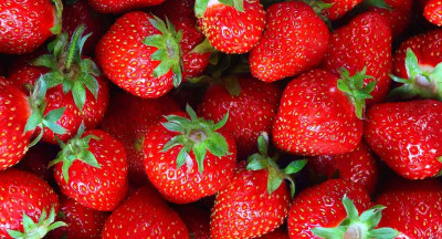 92% of conventional strawberries contaminated with harmful pesticides