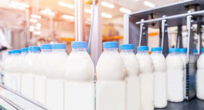 Falling prices and export figures: the Dutch dairy sector in 2023