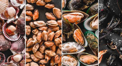 Dangerous bacteria in seafood due to climate change