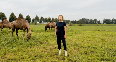 ‘Camel milk is a promising niche market with opportunities.’