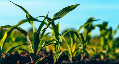 Sustainable farming: how does PlanetProof perform?