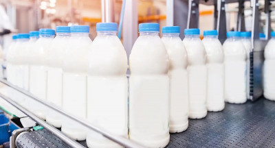 Milk prices surge, input costs decline more slowly
