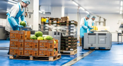 Experts share smart food production solutions