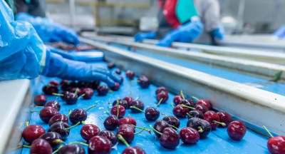 Staff shortages continue to weigh on food industry