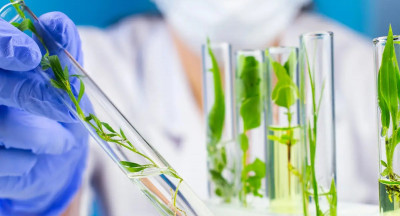 The Netherlands aims for biotech leadership