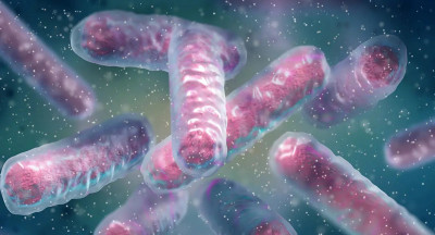 Resistant bacteria gaining ground in the food chain