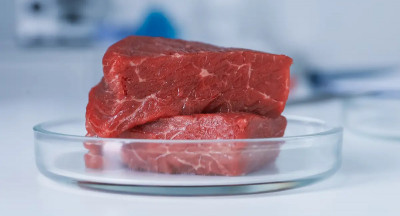 Meatable expands internationally with TruMeat
