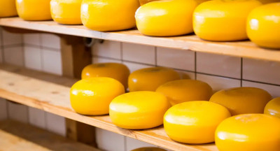 US Tariff Pressures EU Cheese Export Market
