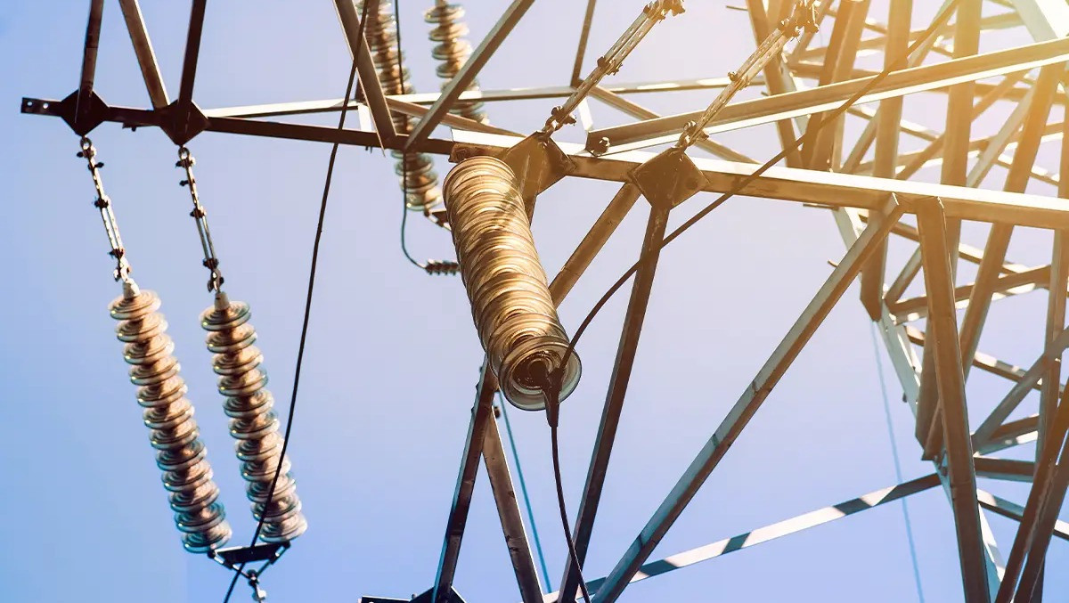 Power Reliability Risk Power reliability at risk: implications for the food industry