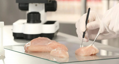 Informatieblad 85 wordt Handboek Levensmiddelenmicrobiologie