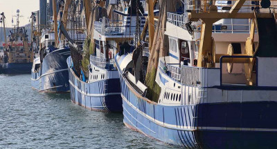 Sea fishing sees modest gains, future remains uncertain