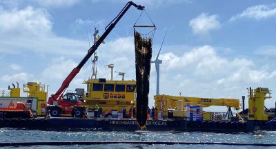 First seaweed harvest within wind farm completed