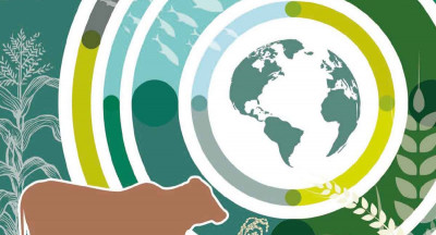 FAO: Global meat and fish consumption to rise by 6%