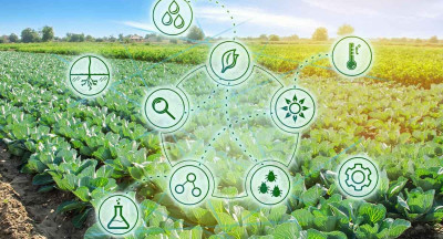 €15 million invested in rural innovation