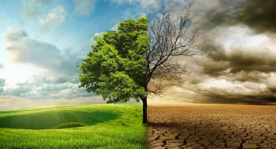 Food prices rise sharply as climate extremes hit