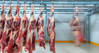 Beef prices on the rise: pressure builds across the chain